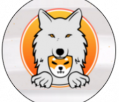 shibtama.co