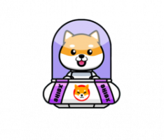 shibxbsc.com