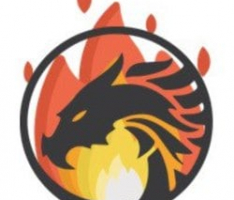 shinemysticbirds.org