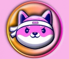 shinobiinu.com