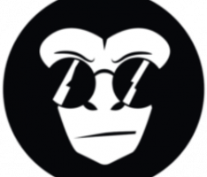 simianfinance.org