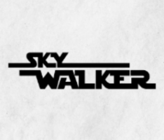 skywalkererc20.com