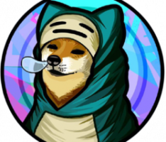 sleepyshib.com