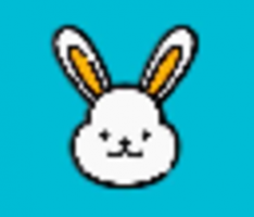 newlittlerabbit.com