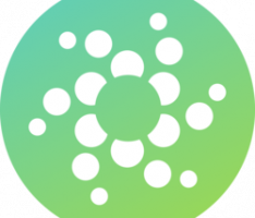 palmare.io