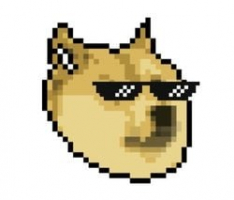 snoopdao.xyz