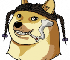 getsnoopdoge.com