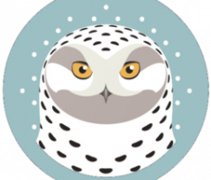 snowyowl.finance