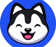 snowdogdao.com