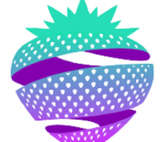solberry.tech