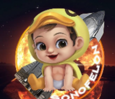 sonofelon.com