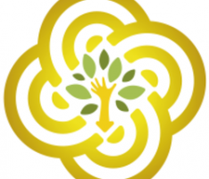 tokensosamazonia.com