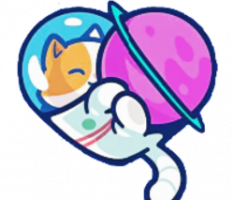 spacexcat.org