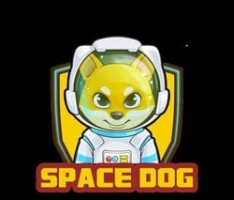 spacedogtoken.com