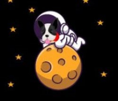 spacedoge.finance