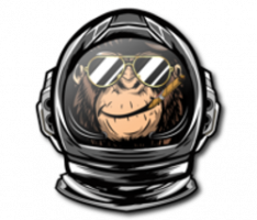 spacemonkey.fun