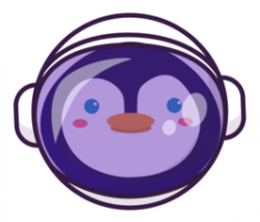 spacepenguin.xyz
