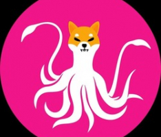 squidinudao.xyz