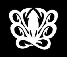 squid.xyz