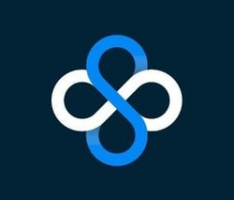 stakeborgdao.com