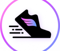 stepg.app
