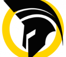 stonkleague.com