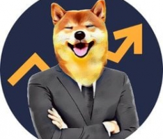 stonkinu.com