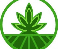 strains.finance