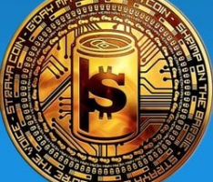 strayacoin.org