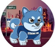 stronginu.com