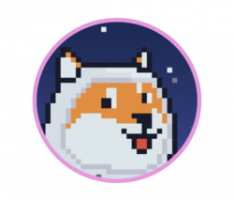 suchshibas.com