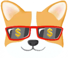 sunglassesdoge.tk