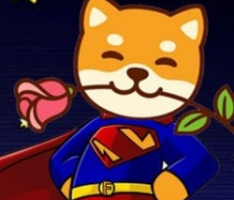 superfloki.net