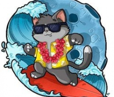 surfmoontoken.com
