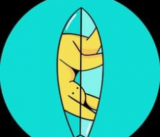 surfdex.io
