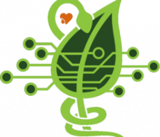 swampcoin.tech