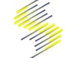 syndex.codes