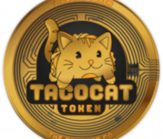 tacocat.co