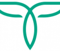 teachain.com