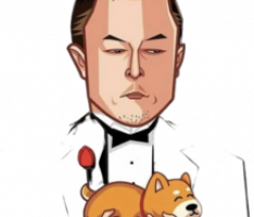 teslainu.finance