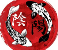thedragongate.io