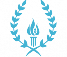 theidols.io
