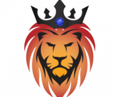 theking.vip