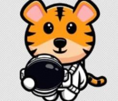 tigerbabyswap.com