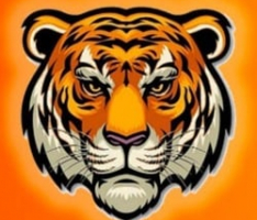 tigercoins.co