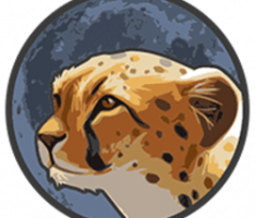 tokencheetah.com