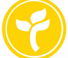 topflower.games