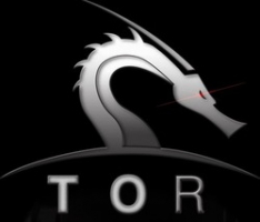 torchain.xyz
