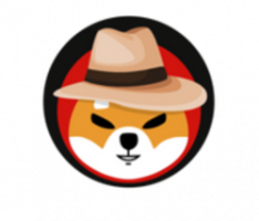 touristshibainu.com