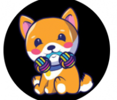 toydoge.net